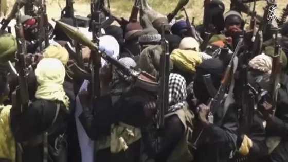 Boko Haram Razes 6 Villages, Kills 15 In Fresh Attack