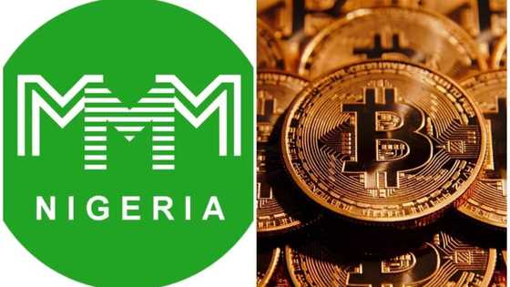 MMM and Bitcoin: 6 MAJOR facts to know about the new form of payment for January 14