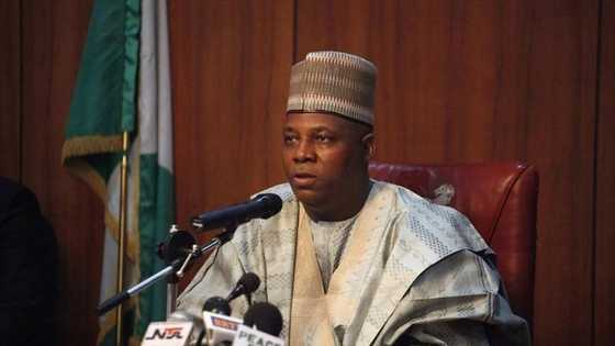 There's no cause for alarm as insurgency is largely over in northeast - Shettima declares