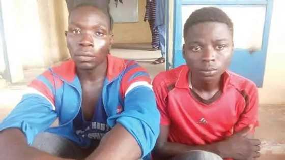 Why I kidnapped my boss' son and demanded N150,000 ransom - Guard