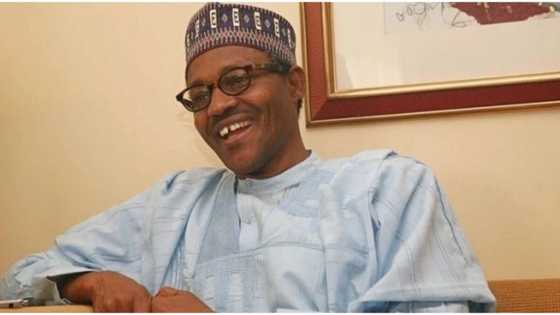 Why Buhari is the father of modern Nigeria, MURIC reveals