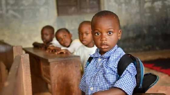 All the details of the Nigerian educational system explained