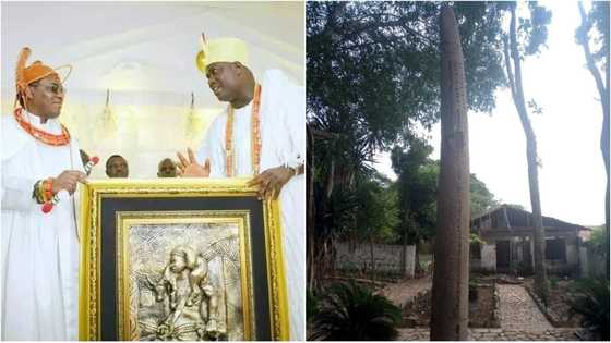 Oranmiyan: The real reason behind Oba of Benin’s recent visit to Ile Ife