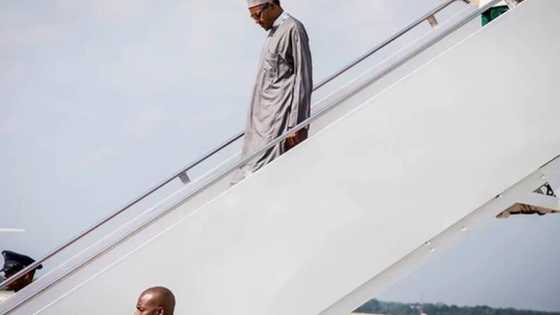 READ What President Buhari Is Going To Do In USA Next Week