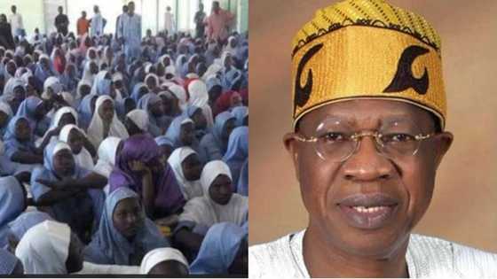 Muna samun rudani cikin sasancin Ceto 'Dalibar Dapchi daga hannun 'Yan Boko Haram - Lai Muhammad