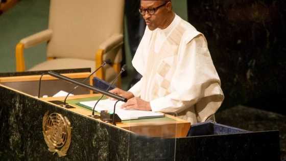 2019: Buhari yayi wa Majalisar Dinkin Duniya alkawarin tabbatar da gaskiya da adalci a zabe mai zuwa.