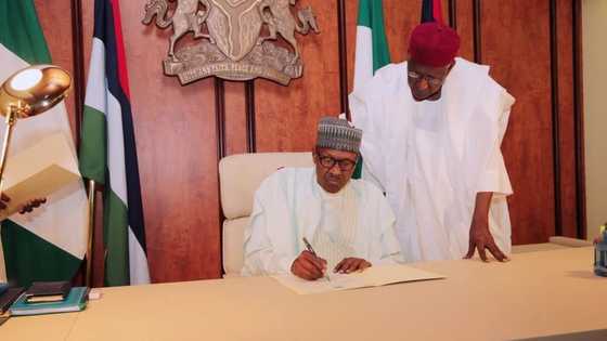 Presidency dismisses rumours that Osinbajo has been sidelined by a cabal