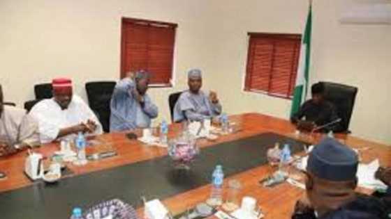 Even if we give nPDP heaven and earth, they have made up their mind - Buhari’s ally speaks after Saraki group meets Osinbajo