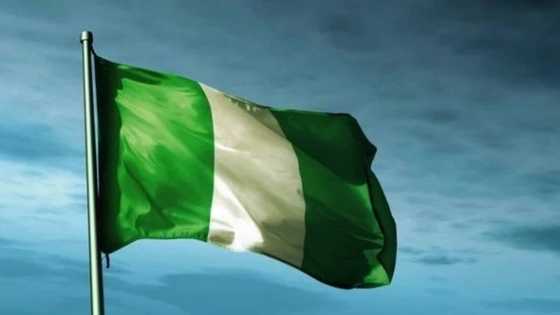 I really need help: Young Nigerian begs on Twitter as many respond