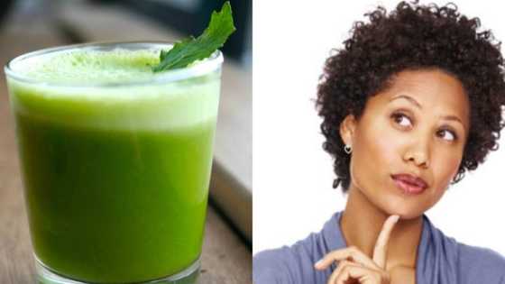 What does bitter leaves water do to the body? Interesting details