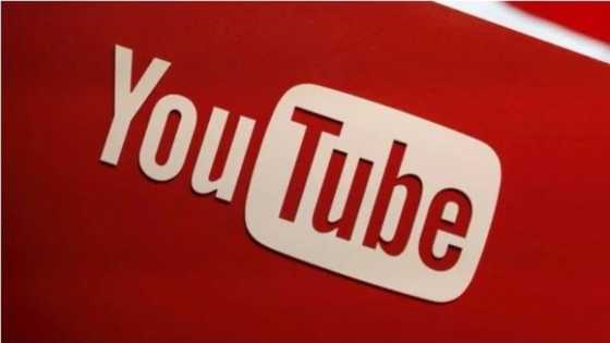 YouTube Shorts Fund Offers Creators a Chance to Earn and Build Their Growing Content Businesses