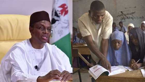 13,665 additional teachers to be recruited in Kaduna - Commissioner