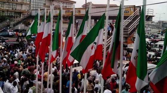 PDP hit by massive defection again as 2,000 members join APC