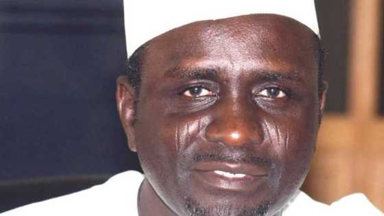 Maganar gaskiya a yi ta wando: Ko Kusa Shekarau bai cancanci shugabancin Najeriya ba - Wani hadimin tsohon gwamnan