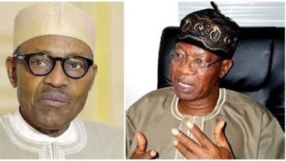 These are the 3 reasons why restructuring is not Buhari’s priority - Minister