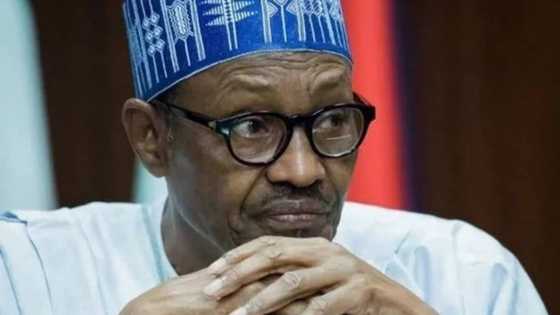Gargadi: Shugaba Buhari ya tashi ya farga kafin Kasar nan ta rincabe - Secondus