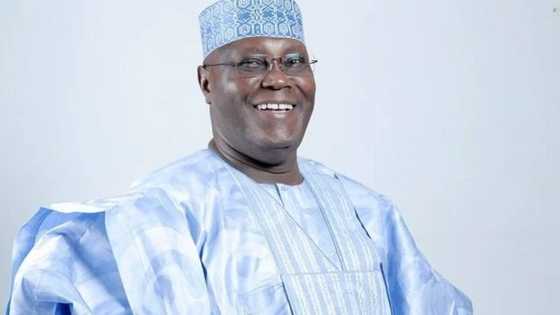 "PDP has retraced its steps" - Doherty urges Nigerians to vote Atiku