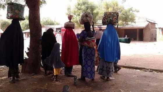 Barayin shanu na ci gaba da tarwatsa mutane a kauyukan Zamfara