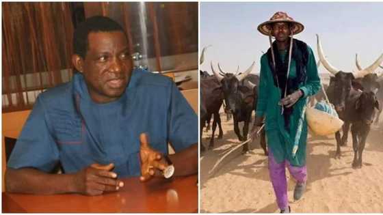 Protests hit Plateau after suspected herdsmen killed 86