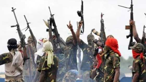 Niger Delta tension: NDLF challenges Buhari to a war, dares him to do his worst