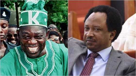 Shehu Sani ya fasa kwai: Shin ka san wanene shakikin MKO Abiola a kafatanin Arewacin Najeriya?