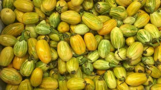 Lafiya jari: Muhimman anfani 5 da yalo keyi a jikin dan adam