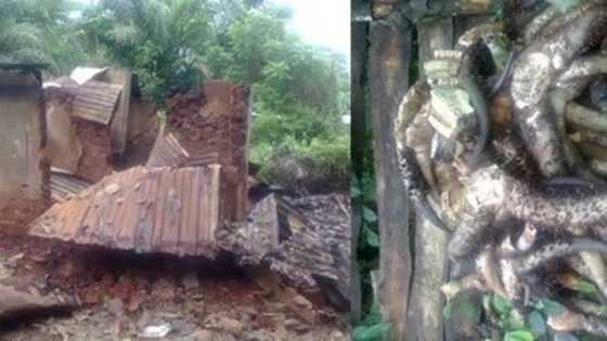 Police Discover Ritual Den, Arrest Five In Ondo