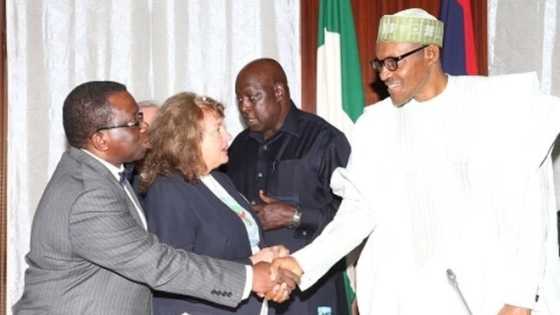 Nigerians can’t keep secrets - Health Minister Professor Adewole reveals why Buhari travelled to London