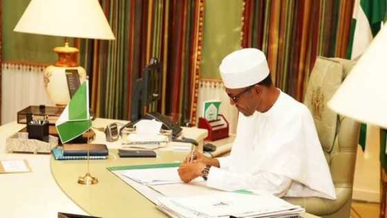 Femi Fani-Kayode's Last Words For President Buhari On Political Prisoners, Tyranny, And Biafra