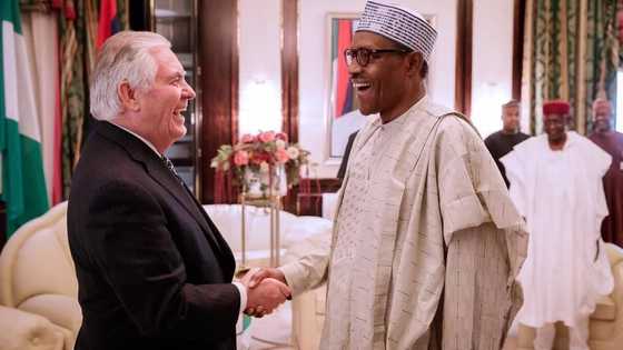 Breaking: Just back from Benue, President Buhari meets US secretary of state Rex Tillerson in Aso Rock (photos)
