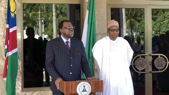 Namibian president visits Buhari at Aso Rock (photos)