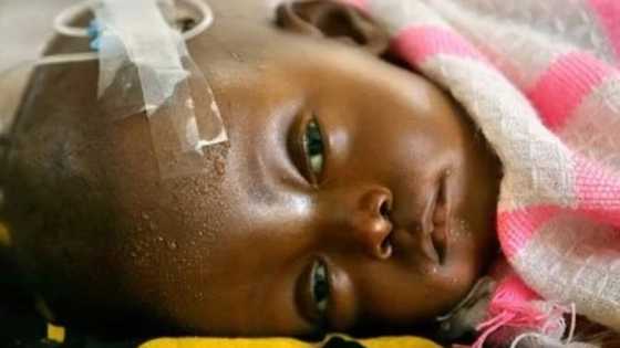 Bincike ta nuna cewa kasar Najeriya ka iya kamuwa da cutar Zika