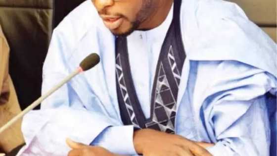 Dalilan da suka sa na baro UN na kama aiki da Nasir El-Rufai - Kwamishina