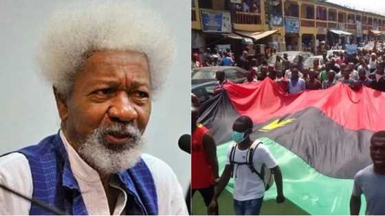 Biafrans were defeated on battlefield, but not crushed - Wole Soyinka