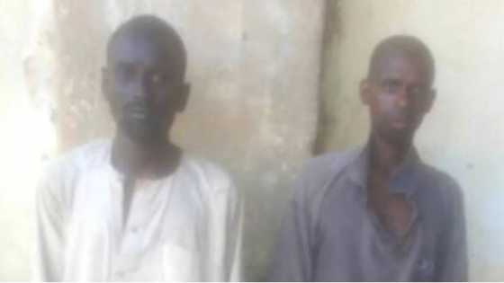 Army intercepts 2 Boko Haram members