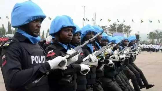 Jihohi 5 da suka fi zaman lafiya a Najeriya