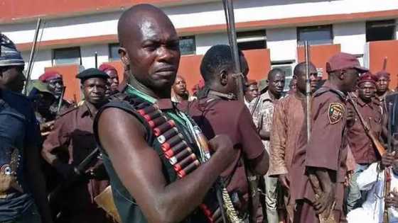 Just In: Unknown gunmen kill Buhari, commander of Civilian Joint Task Force (CJTF)