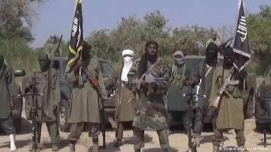 'Yan ta'addan Boko Haram sun halaka dan kasuwa da sace manoma 4 a Borno