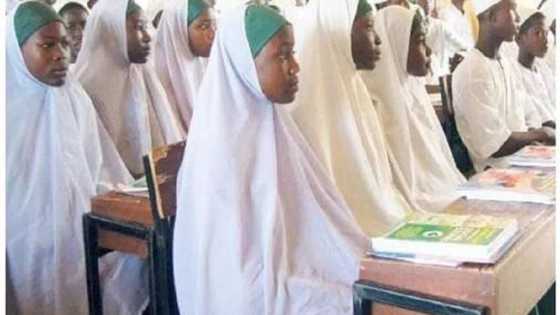 Auren sirri a tsakanin dalibai: Dokar hana cakuɗa maza da mata a aji na nan tafe a jihar Bauchi