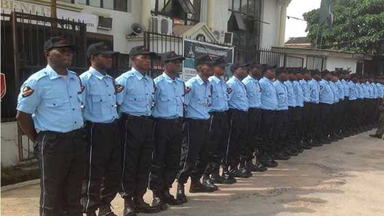 FG outlaws training of security guards by private consultants due to security challenges