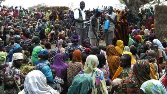 34,000 Cameroonian refugees in 6 LGAs Cross River - SEMA states as it asks for support