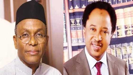 Governor El-Rufai lists conditions for accepting Shehu Sani back into APC