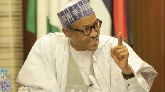 Idan har jihar Bayelsa na da Sanatoci 3 tamkar Kano, tabbas akwai adalci a cikin kundin tsarin mulkin Najeriya - Buhari