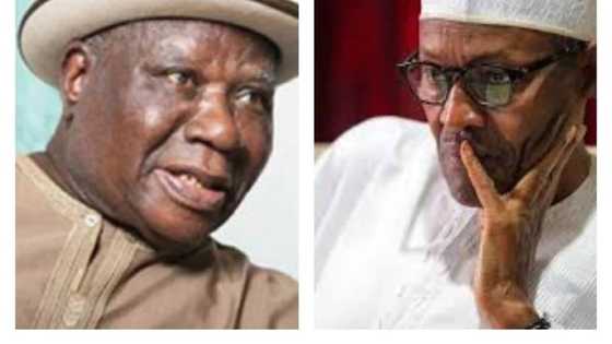 Ya kamata gwamnatin tarayya ta saka dokar ta baci a jihohin Borno, Yobe, da Adamawa - Edwin Clark