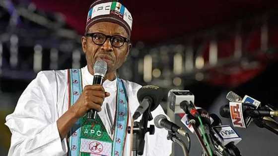 Ana cigaba da hurowa Shugaba Buhari wuta ya sake tsayawa takara a zaben 2019