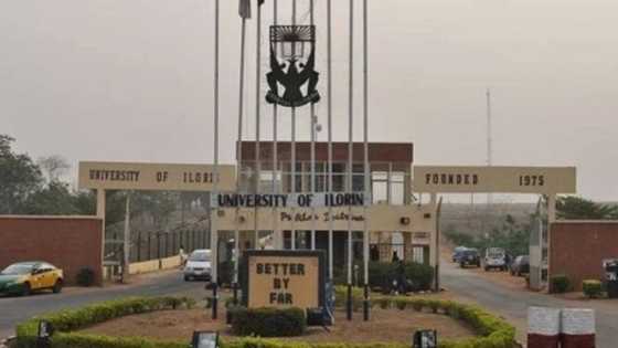 ‘Dalibin Jami’ar Ilorin ya yi abin da zai ceci Mutane 400, 000 a Najeriya