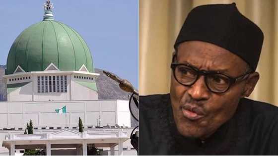 Why NASS must reject Buhari’s loan request - PDP chieftain Mohammed Usman