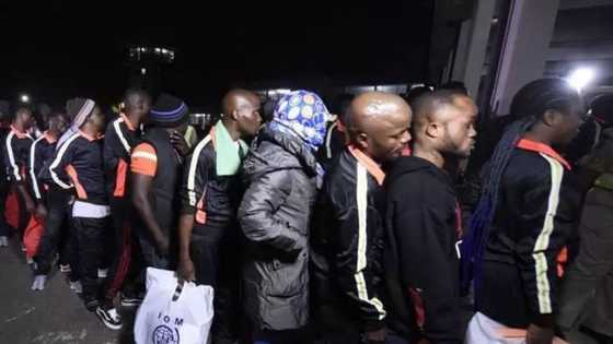Another 137 stranded Nigerians arrive from Libya after bitter experience