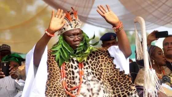 Our silence is being taken as foolishness - Gani Adams rallies Yorubas against herdsmen violence