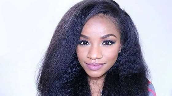 How to soften natural black hair without chemicals? - Top 10 tips